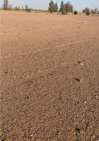 للبيع أرض طابو اخضر