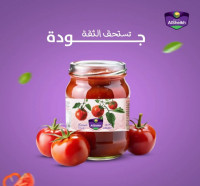 رب بندورة الشيخ 2 كغ